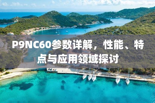 P9NC60参数详解，性能、特点与应用领域探讨