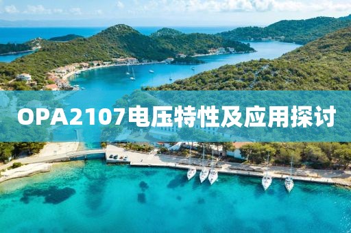 OPA2107电压特性及应用探讨