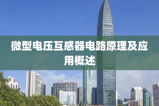微型电压互感器电路原理及应用概述