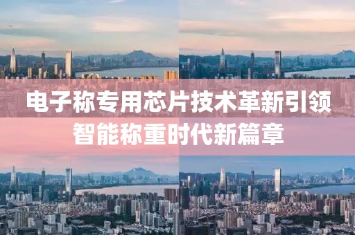 电子称专用芯片技术革新引领智能称重时代新篇章