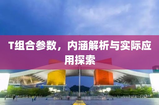 T组合参数，内涵解析与实际应用探索