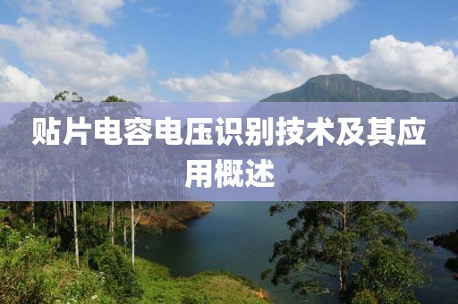 猫梦鱼 第20页