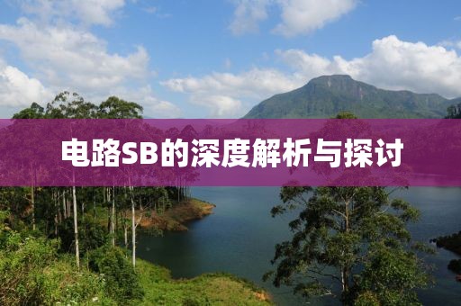 电路SB的深度解析与探讨