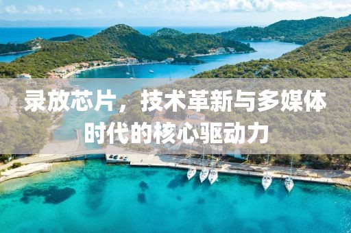 录放芯片，技术革新与多媒体时代的核心驱动力