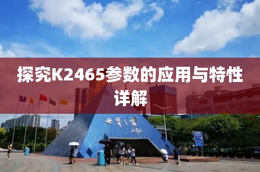 探究K2465参数的应用与特性详解