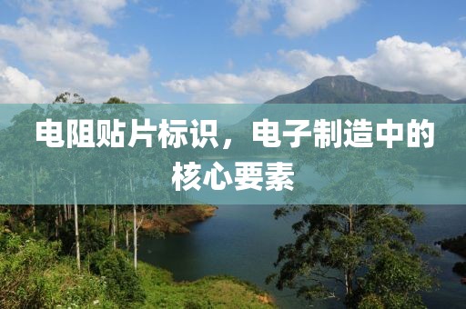 电阻贴片标识，电子制造中的核心要素