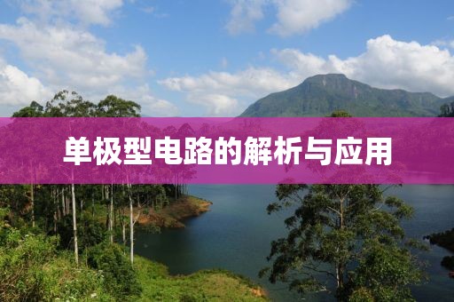 单极型电路的解析与应用