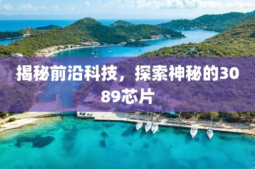 揭秘前沿科技，探索神秘的3089芯片