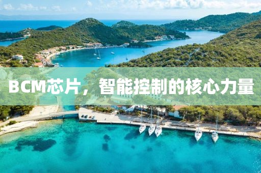 自中来 第21页
