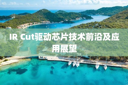IR Cut驱动芯片技术前沿及应用展望