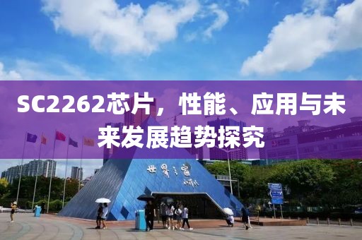 SC2262芯片，性能、应用与未来发展趋势探究