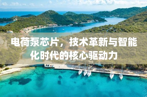 电荷泵芯片，技术革新与智能化时代的核心驱动力