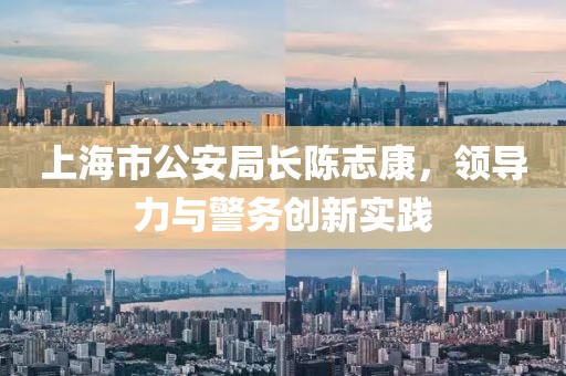上海市公安局长陈志康，领导力与警务创新实践