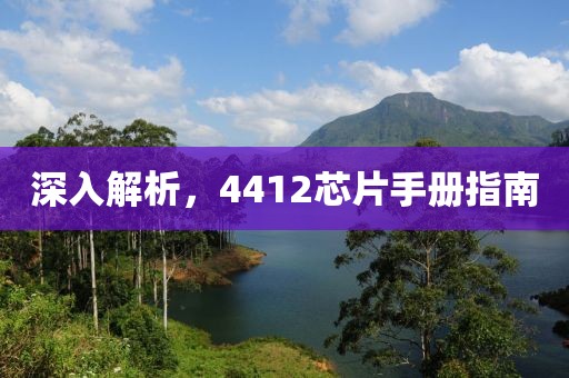 深入解析，4412芯片手册指南