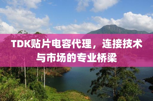 TDK贴片电容代理，连接技术与市场的专业桥梁