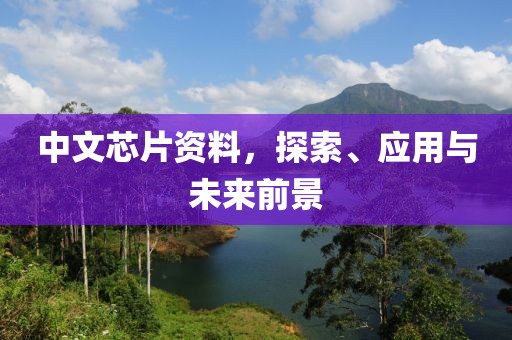 中文芯片资料，探索、应用与未来前景