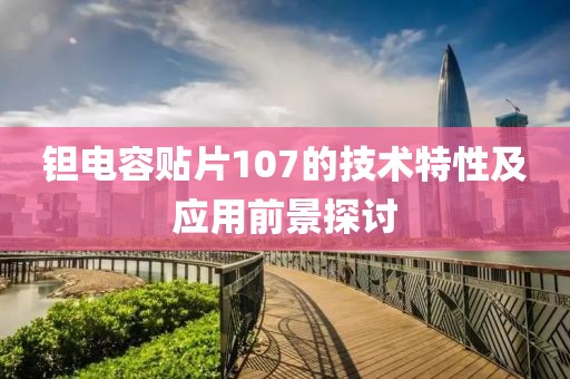 钽电容贴片107的技术特性及应用前景探讨