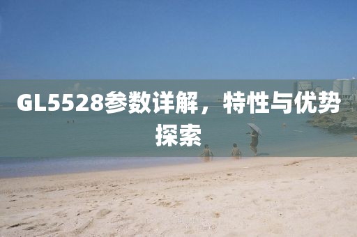 GL5528参数详解，特性与优势探索