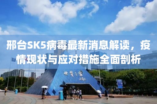 邢台SK5病毒最新消息解读，疫情现状与应对措施全面剖析