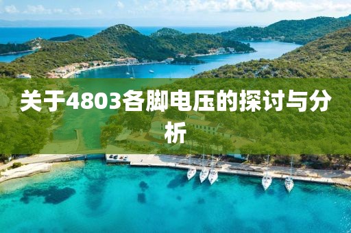 关于4803各脚电压的探讨与分析