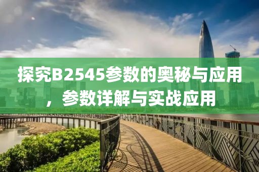 探究B2545参数的奥秘与应用，参数详解与实战应用