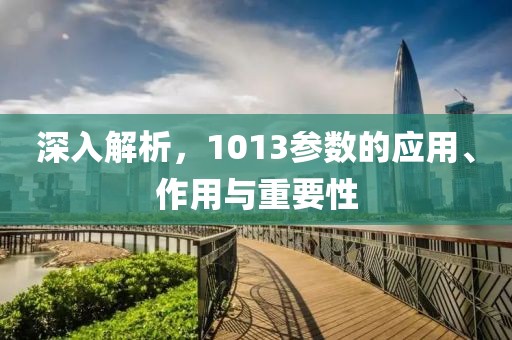 深入解析，1013参数的应用、作用与重要性