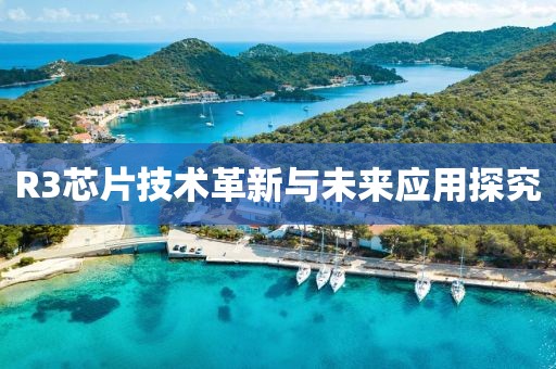 R3芯片技术革新与未来应用探究