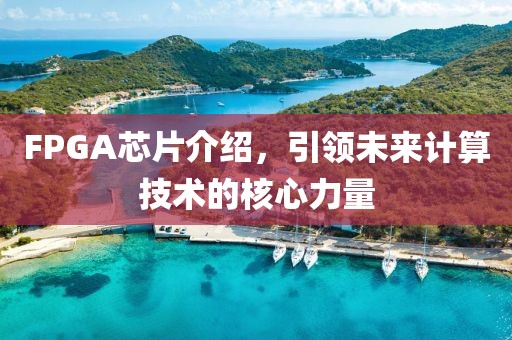 FPGA芯片介绍，引领未来计算技术的核心力量