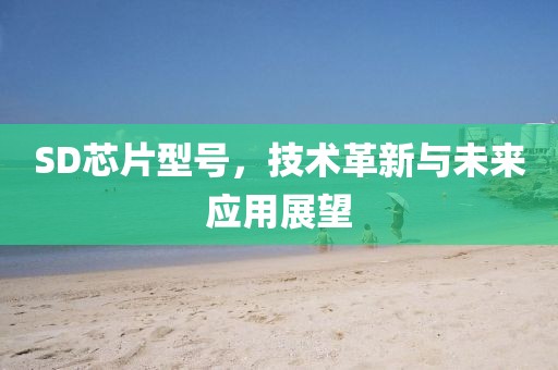 SD芯片型号，技术革新与未来应用展望