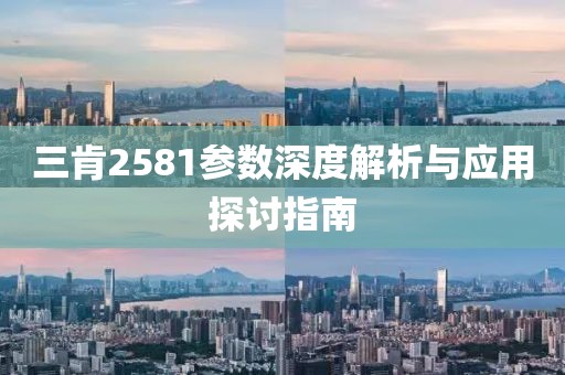 三肯2581参数深度解析与应用探讨指南