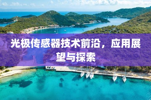 光极传感器技术前沿，应用展望与探索