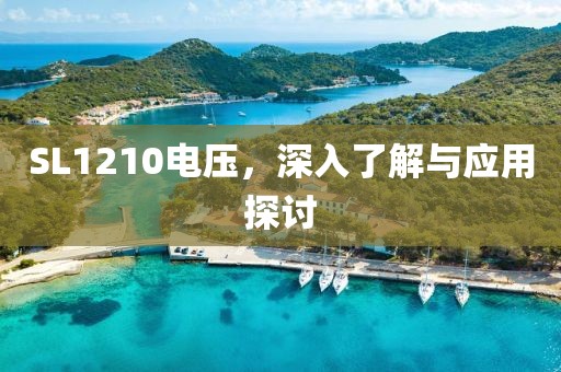SL1210电压，深入了解与应用探讨