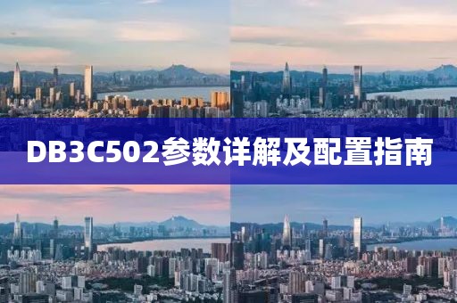 DB3C502参数详解及配置指南