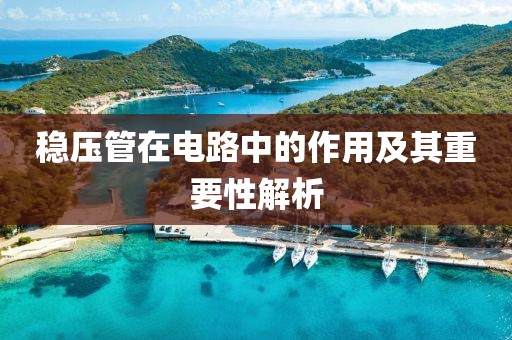 稳压管在电路中的作用及其重要性解析