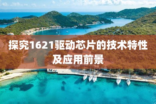 且听风 第19页