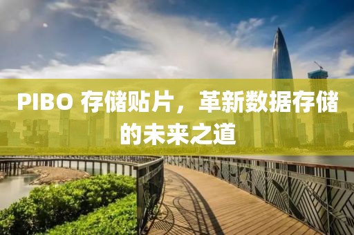 PIBO 存储贴片，革新数据存储的未来之道