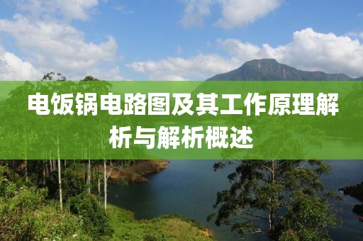 电饭锅电路图及其工作原理解析与解析概述