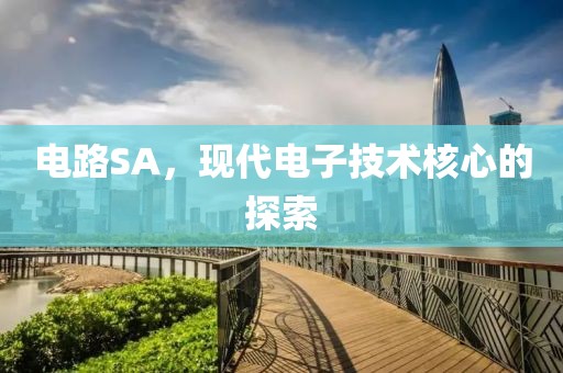 电路SA，现代电子技术核心的探索