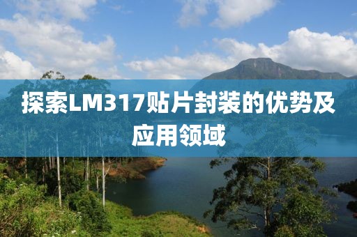 探索LM317贴片封装的优势及应用领域