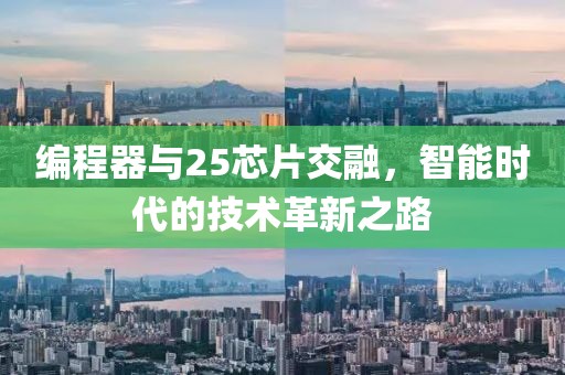 编程器与25芯片交融，智能时代的技术革新之路