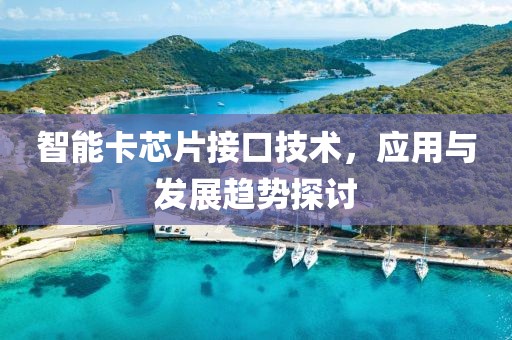 智能卡芯片接口技术，应用与发展趋势探讨