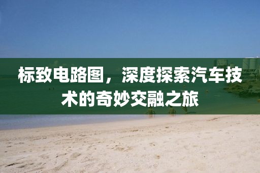 标致电路图，深度探索汽车技术的奇妙交融之旅