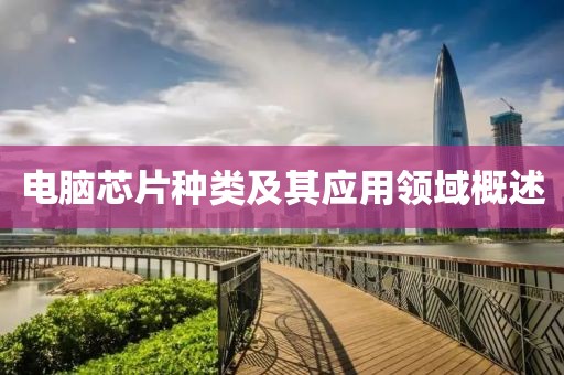 电脑芯片种类及其应用领域概述