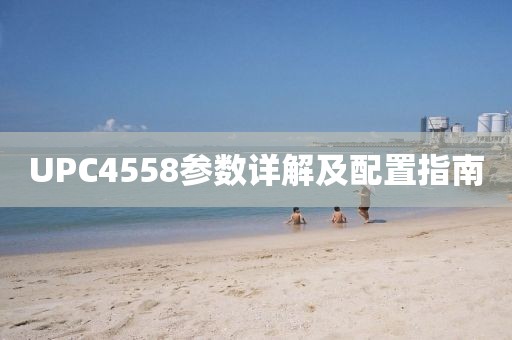寻梦人 第19页
