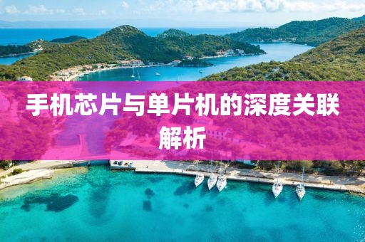 手机芯片与单片机的深度关联解析