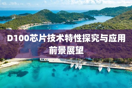 D100芯片技术特性探究与应用前景展望