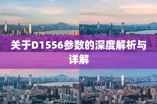 关于D1556参数的深度解析与详解