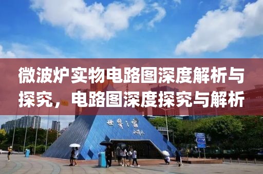 微波炉实物电路图深度解析与探究，电路图深度探究与解析