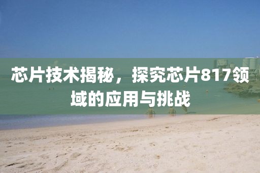 芯片技术揭秘，探究芯片817领域的应用与挑战