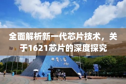 襟上花 第15页